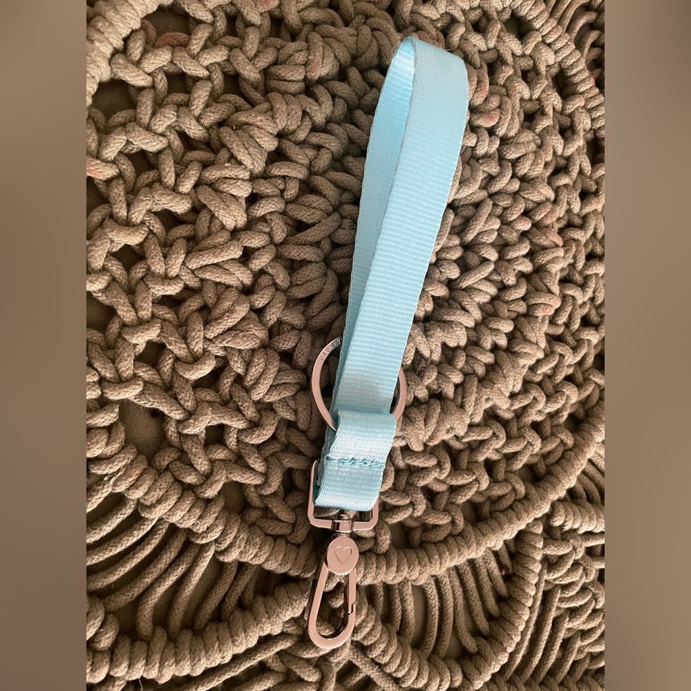 Harvey’s Seatbelt Robins Egg Click and Carry